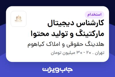 استخدام کارشناس دیجیتال مارکتینگ و تولید محتوا - خانم در هلدینگ حقوقی و املاک کیاهوم