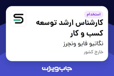 استخدام کارشناس ارشد توسعه کسب و کار در نگاتیو فایو ونچرز