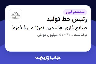 استخدام رئیس خط تولید - آقا در صنایع فلزی هشتمین نور(ثامن فرفوژه)