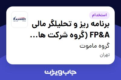 استخدام برنامه ریز و تحلیلگر مالی FP A (گروه شرکت های ماموت) در گروه ماموت