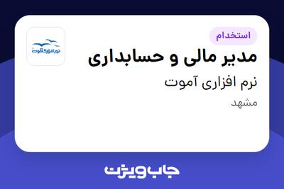 استخدام مدیر مالی و حسابداری در نرم افزاری آموت