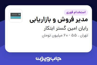 استخدام مدیر فروش و بازاریابی در رایان امین گستر ابتکار