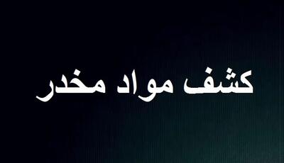 14 کیلو روانگردان از زن و شوهر موادفروش کشف شد