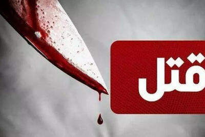 6 کشته و مجروح در حمله با سلاح سرد به عابرین در شیراز