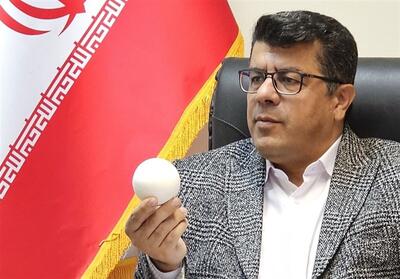ناظری: سرمربی تیم ملی چوگان استعفا نکرده است - پارس فوتبال