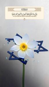 طرح/ باطل نابود شدنی است