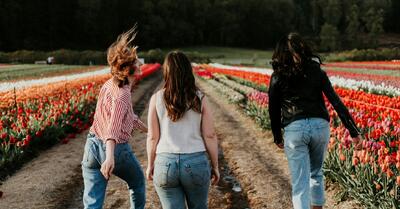 ارزشهای ناگفته موسیقی مجلسی عالی