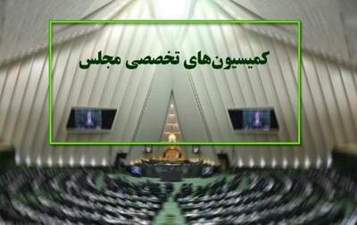 نگاهی به عملکرد کمیسیون‌ها در سال  اول فعالیت مجلس دوازدهم