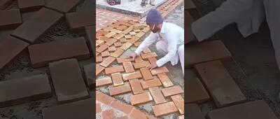 تکنیک عجیب زیباسازی حیاط خانه در پاکستان!