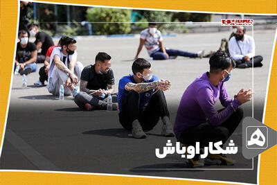 شکار اوباش