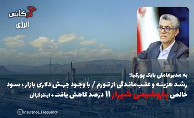 به مدیرعاملی بابک پورکیا؛ رشد هزینه و عقب‌ماندگی از تورم / با وجود جهش دلاری بازار سود خالص پتروشیمی شیراز ۱۱ درصد کاهش یافت + اینفوگرافی
