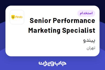 استخدام Senior Performance Marketing Specialist در پیندو