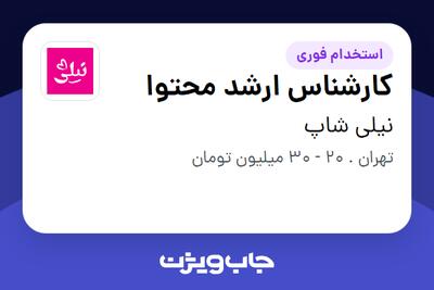 استخدام کارشناس ارشد محتوا در نیلی شاپ