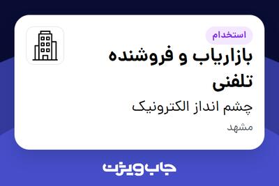استخدام بازاریاب و فروشنده تلفنی - خانم در چشم انداز الکترونیک