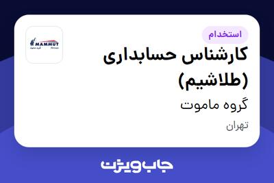 استخدام کارشناس حسابداری (طلاشیم) - آقا در گروه ماموت