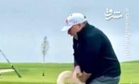 سوژه شدن‌ ویتکاف توسط ترامپ پس از حمله قو!