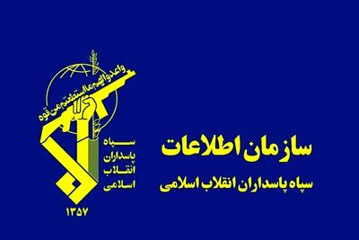 انهدام یک شبکه سازمان یافته ضدامنیتی در کرمان
