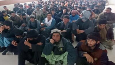 ۶۸۸نفر از اتباع غیرمجاز در شهرستان هامون دستگیر شدند