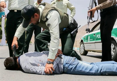 کشف محموله بزرگ قاچاق حیات وحش در تهران
