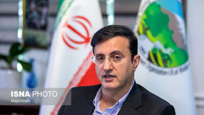واکنش رییس سازمان منابع طبیعی به تصاویر قطع نهال‌ها