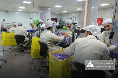 تداوم سهم بالای محصولات بهداشتی در سبد درآمدی «کیمیاتک»