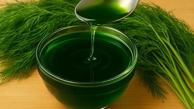 طرز تهیه روغن شوید با خواص و کاربردهای شگفت انگیز در آشپزی و زیبایی