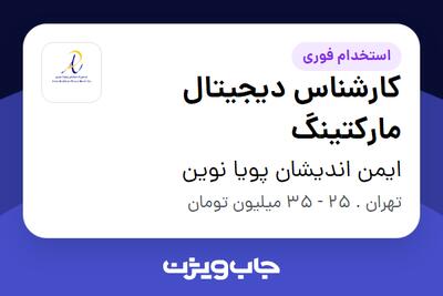 استخدام کارشناس دیجیتال مارکتینگ در ایمن اندیشان پویا نوین