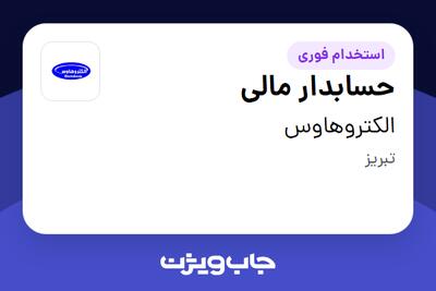 استخدام حسابدار مالی در الکتروهاوس