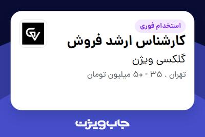 استخدام کارشناس ارشد فروش در گلکسی ویژن