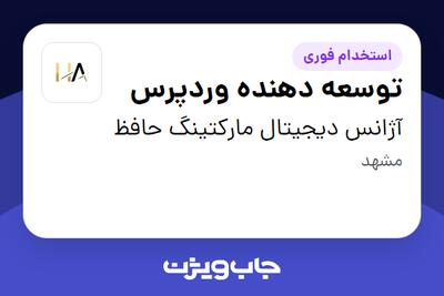 استخدام توسعه دهنده وردپرس در آژانس دیجیتال مارکتینگ حافظ