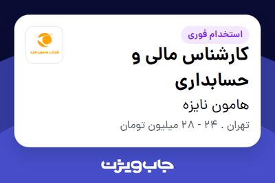 استخدام کارشناس مالی و حسابداری در هامون نایزه