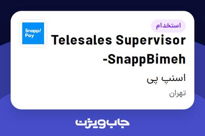 استخدام Telesales Supervisor -SnappBimeh در اسنپ پی
