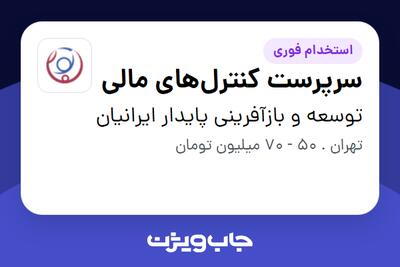 استخدام سرپرست کنترل‌های مالی در توسعه و بازآفرینی پایدار ایرانیان