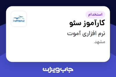 استخدام کارآموز سئو در نرم افزاری آموت