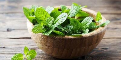 سیگار کشیدن در فضای باز ممنوع شد