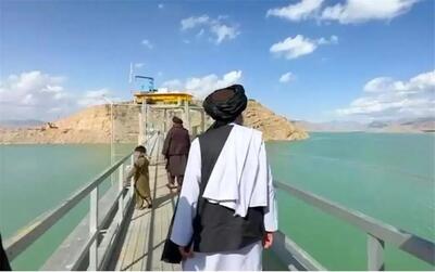 عضو کمیسیون امنیت ملی: افغانستان با سیمان ایرانی آب را روی ایران سد می‌کند