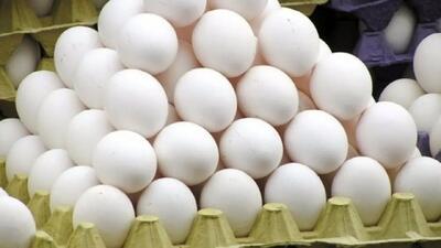 قیمت هر کیلو تخم‌مرغ درب مرغداری‌ چند؟!