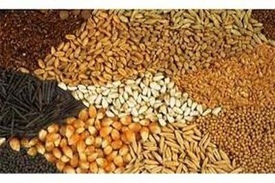تخصیص و تأمین ۷۰۰۰ تن نهاده دامی برای تولیدکنندگان فارس