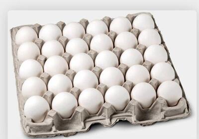 قیمت تخم مرغ درب مرغداری چند؟