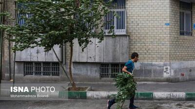 وزش باد شدید و گردوخاک در نوار شرقی کشور - مردم سالاری آنلاین