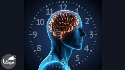 میگنا - به یک برنامه خواب منظم عادت کنید