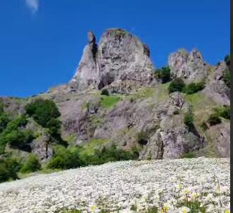 طبیعت زیبای ارتفاعات آستارا گلین داشی