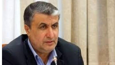 رئیس سازمان انرژی اتمی: شاهد برخی از پیشرفت‌ها در مذاکرات غیرمستقیم با آمریکا هستیم