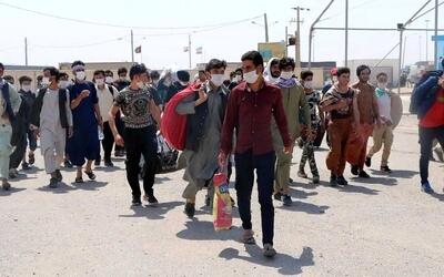 صدور برگه بازگشت افغانی‌ها به ایران در زمان خروج!