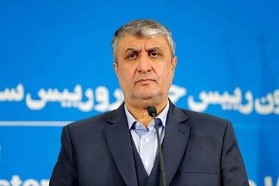 واکنش رئیس سازمان انرژی اتمی به طرح غنی‌سازی صفر | اقتصاد24
