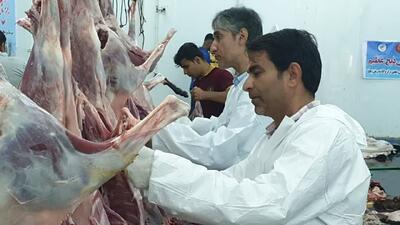 آمادگی بهزیستی قم برای جمع‌آوری نذورات مردمی عید قربان