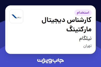 استخدام کارشناس دیجیتال مارکتینگ در نیلگام