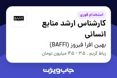 استخدام کارشناس ارشد منابع انسانی در بهین افرا فیروز (BAFFI)