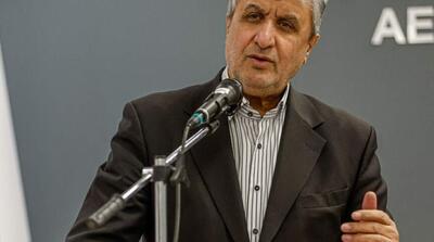 رئیس سازمان انرژی اتمی: شاهد برخی از پیشرفت‌ها در مذاکرات غیرمستقیم با آمریکا هستیم - مردم سالاری آنلاین