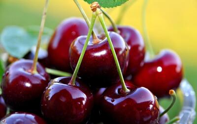 خوردن گیلاس شما را در برابر سرطان مقاوم می‌کند - سبک ایده آل